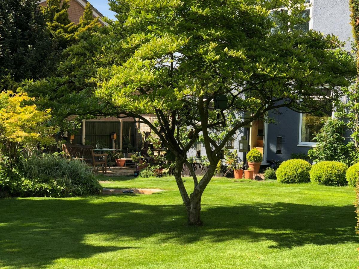 The Elms Guest House Bristol Filton Exterior photo